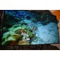 LG 75UN85006LA 75'' (190 cm) 4K HDR Smart UHD TV - foltos